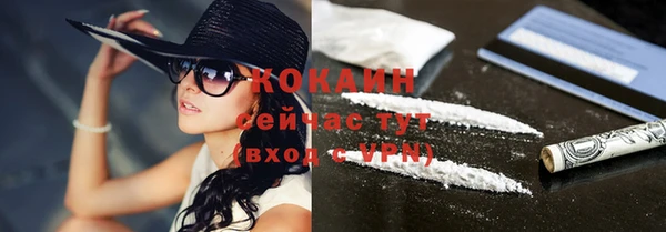 прущие грибы Лиски