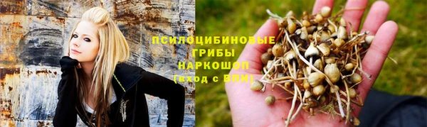 гидропоника Лихославль