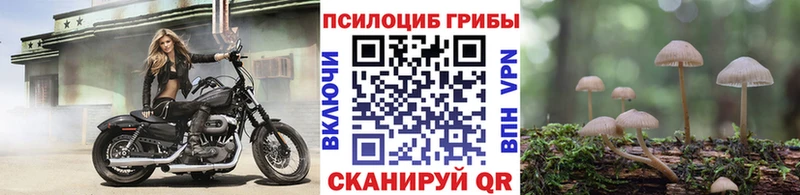 Псилоцибиновые грибы GOLDEN TEACHER  Юрюзань 
